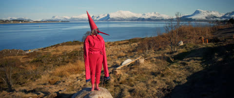 Vi som solgte landet