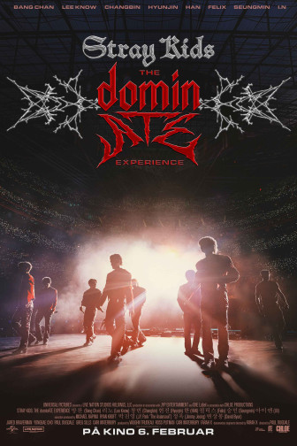 Stray Kids: The dominATE Experience